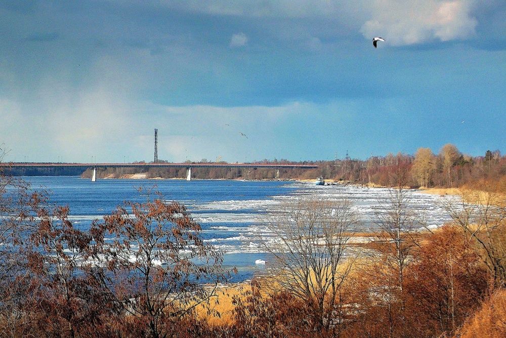 Ленобласть, Нева  в районе Кировска