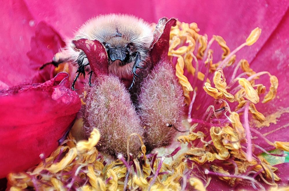 Photograph by Александр Довганюк