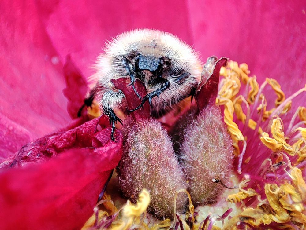 Photograph by Александр Довганюк