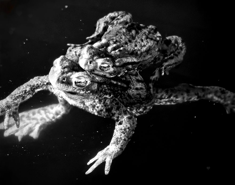 Photograph by Татьяна Александровна Терехова