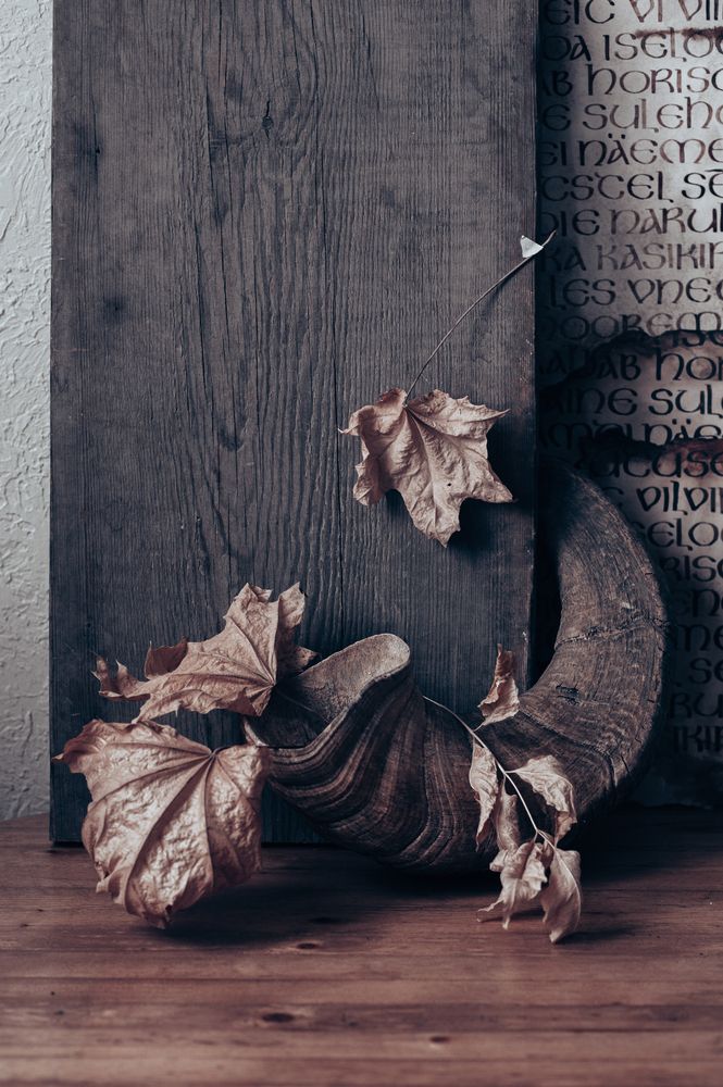 Photograph by Сафронова Любовь