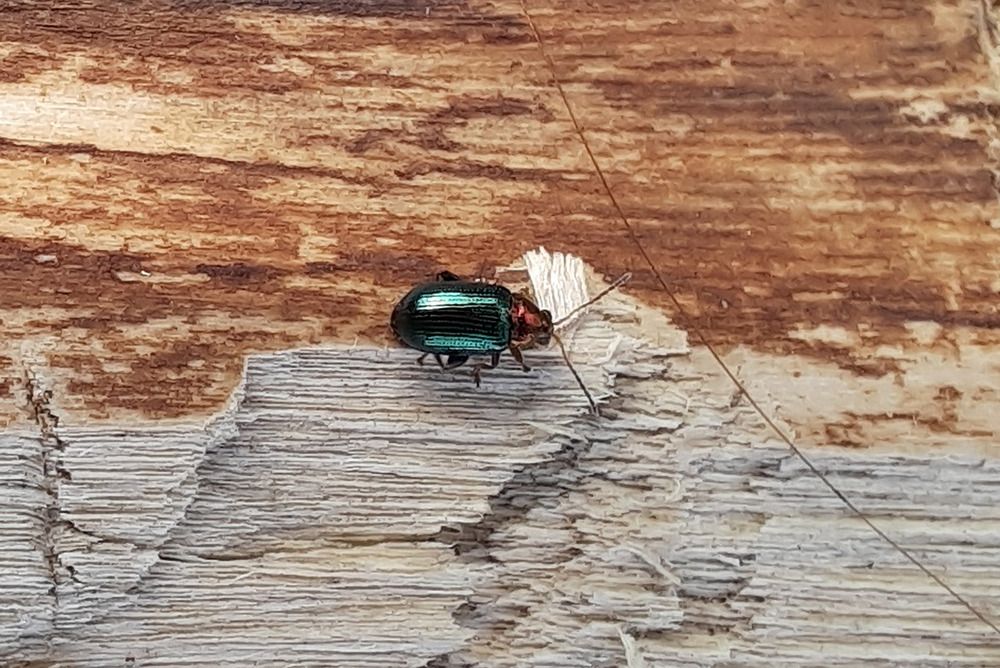 Photograph by Владимир Малёшин