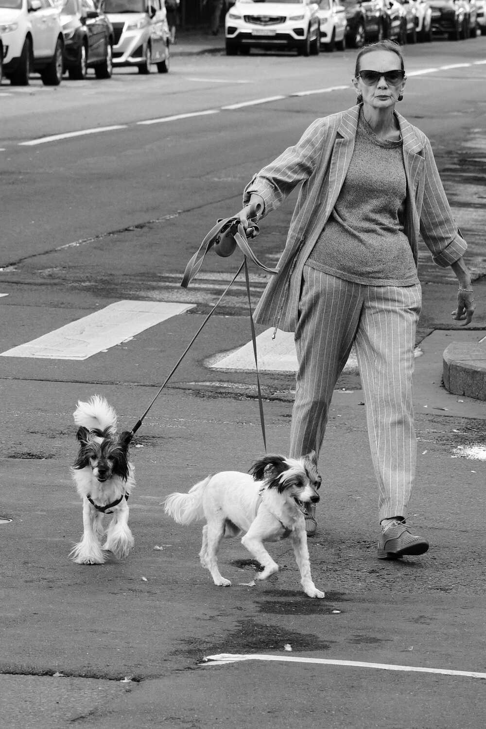 Дама с собачками...