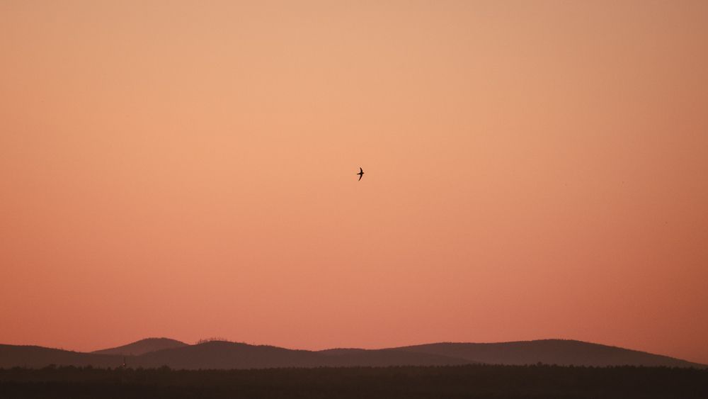Photograph by Катерина Котт
