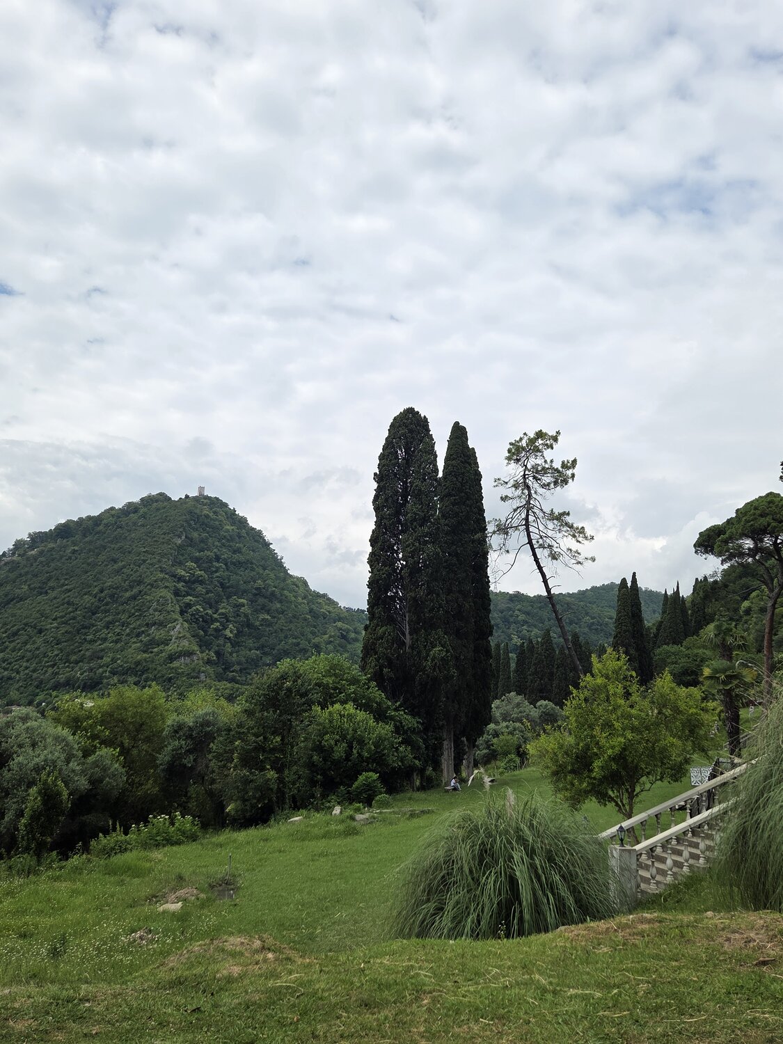 Photo #13300869