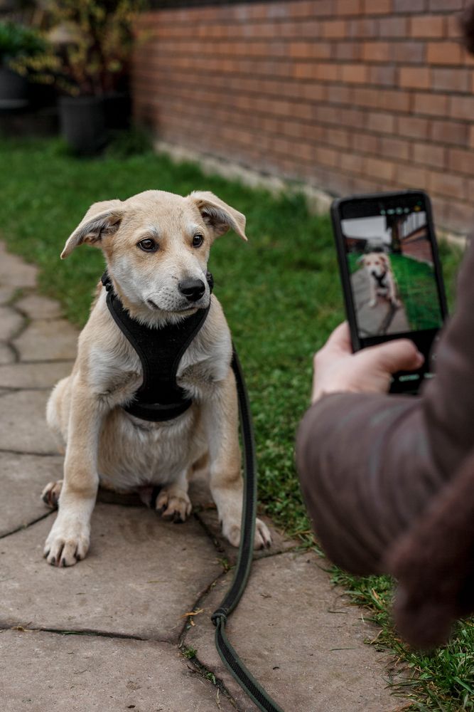 Photograph by Оксана Пучкова