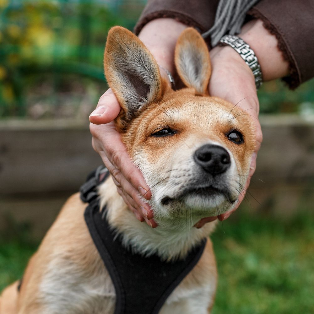 Photograph by Оксана Пучкова