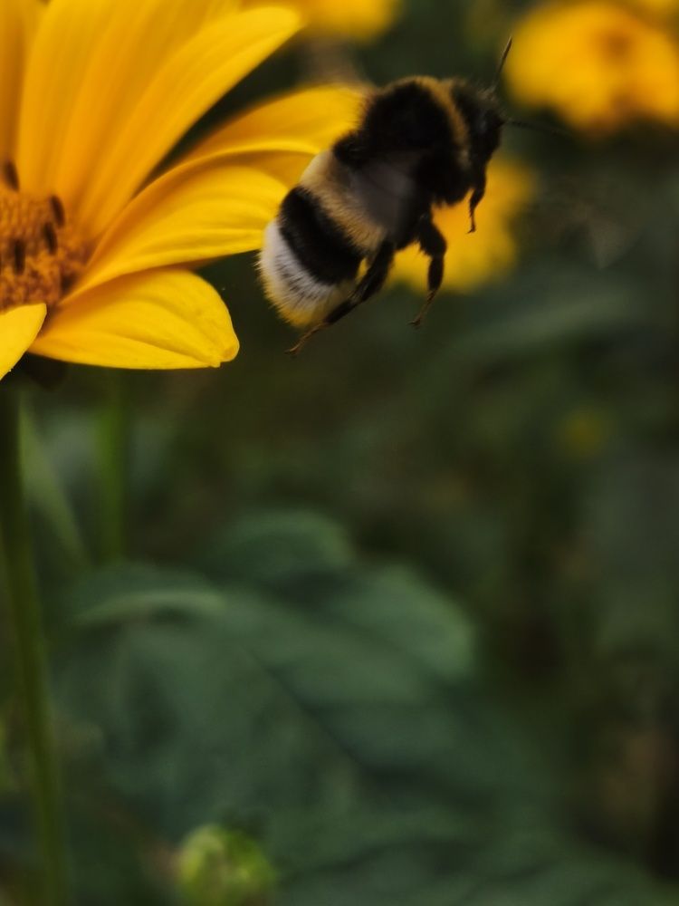 Photograph by Янина Милош