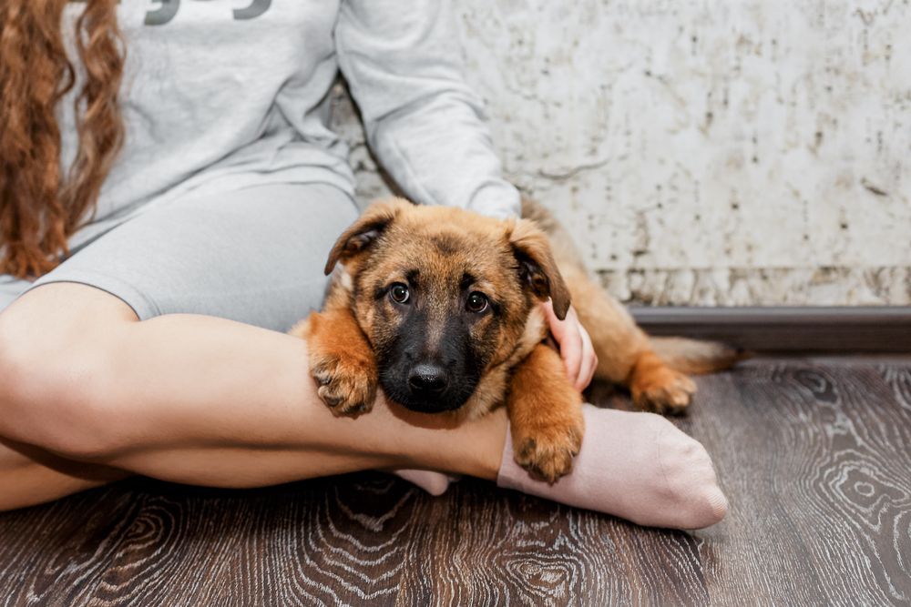 Photograph by Оксана Пучкова