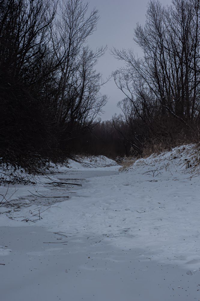 Photograph by Георгий Машкин