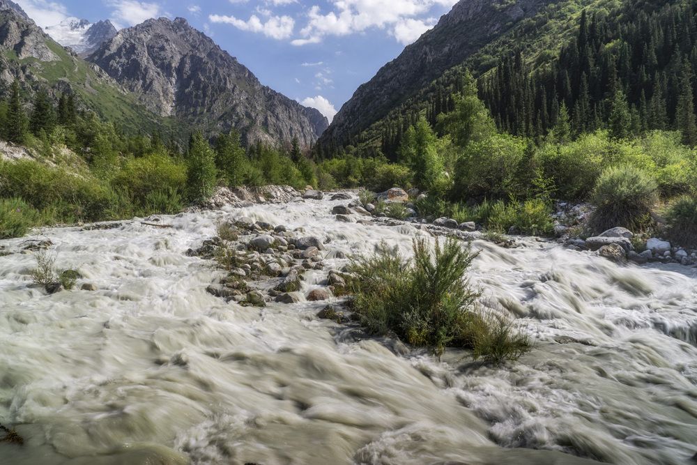 Фотография автора Татьяна Добровольская
