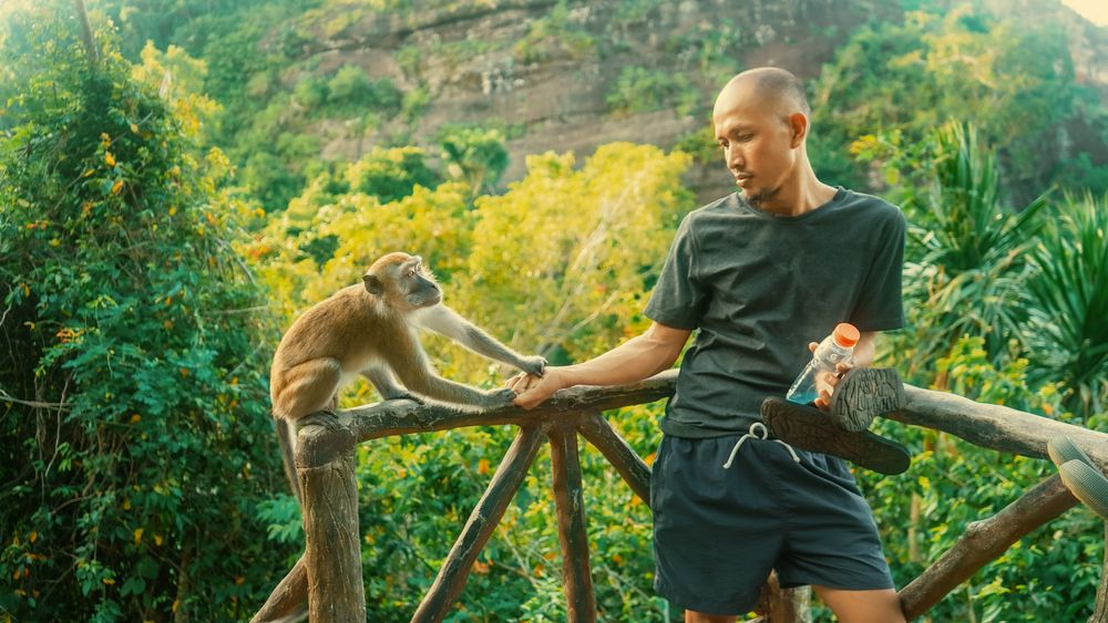 Фотография автора Gani Olarte