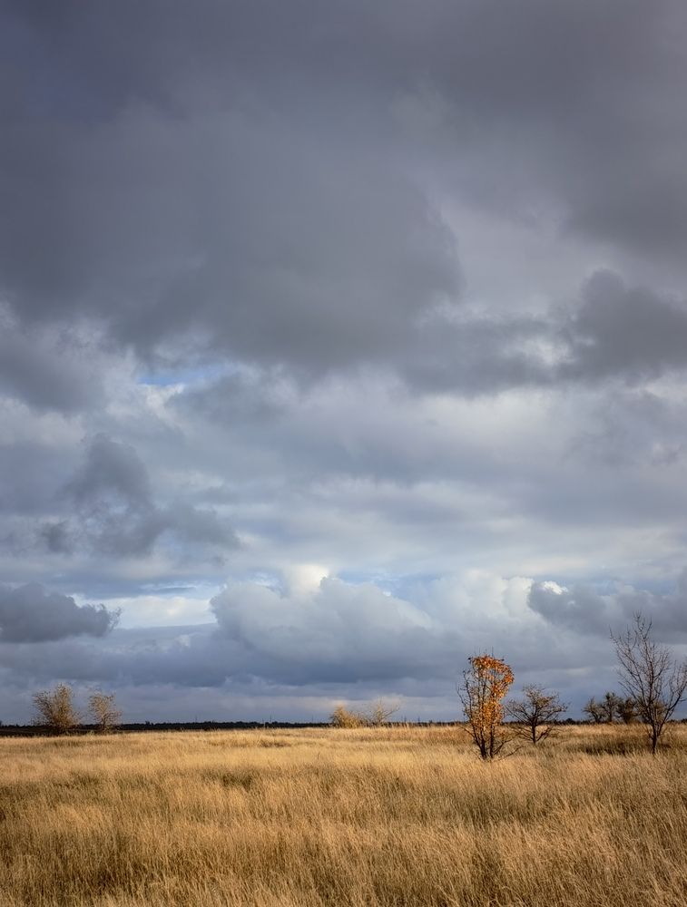 Photograph by Ульяна Кузьмина