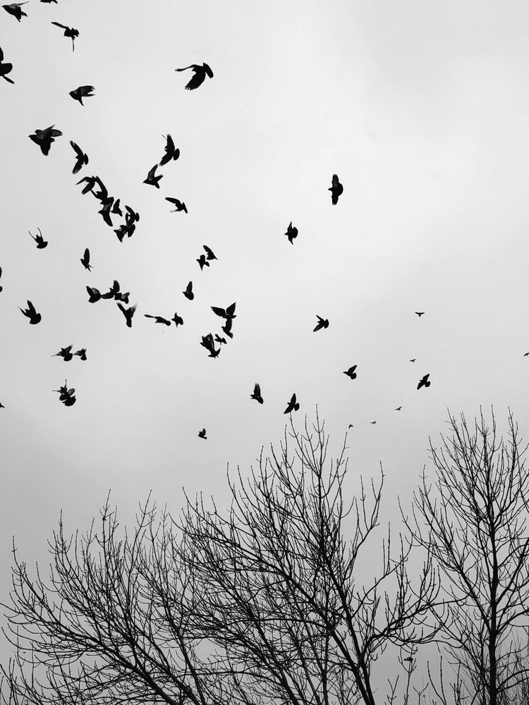 Photograph by Ульяна Кузьмина