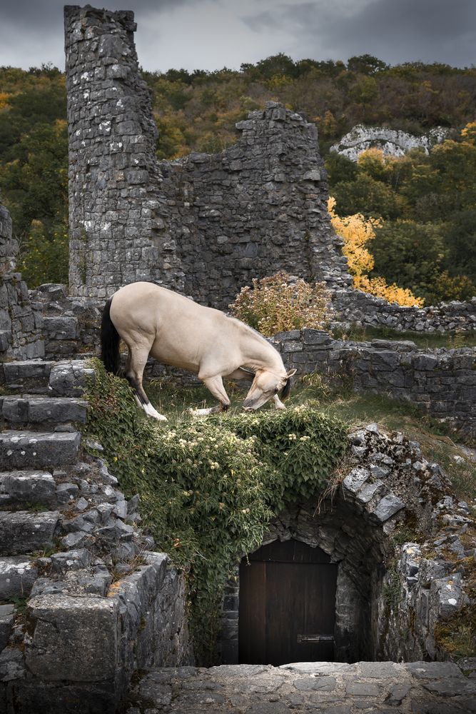 Photograph by Laurence Baty