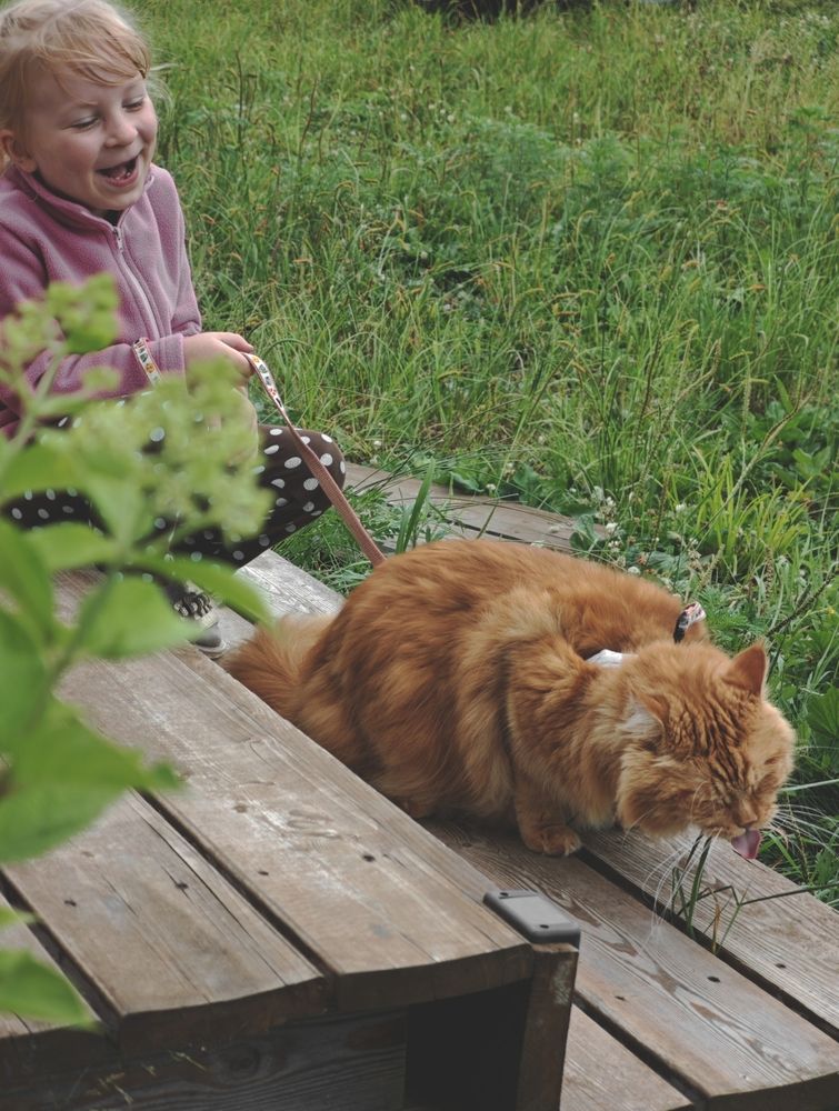Photograph by Наталья Иванова