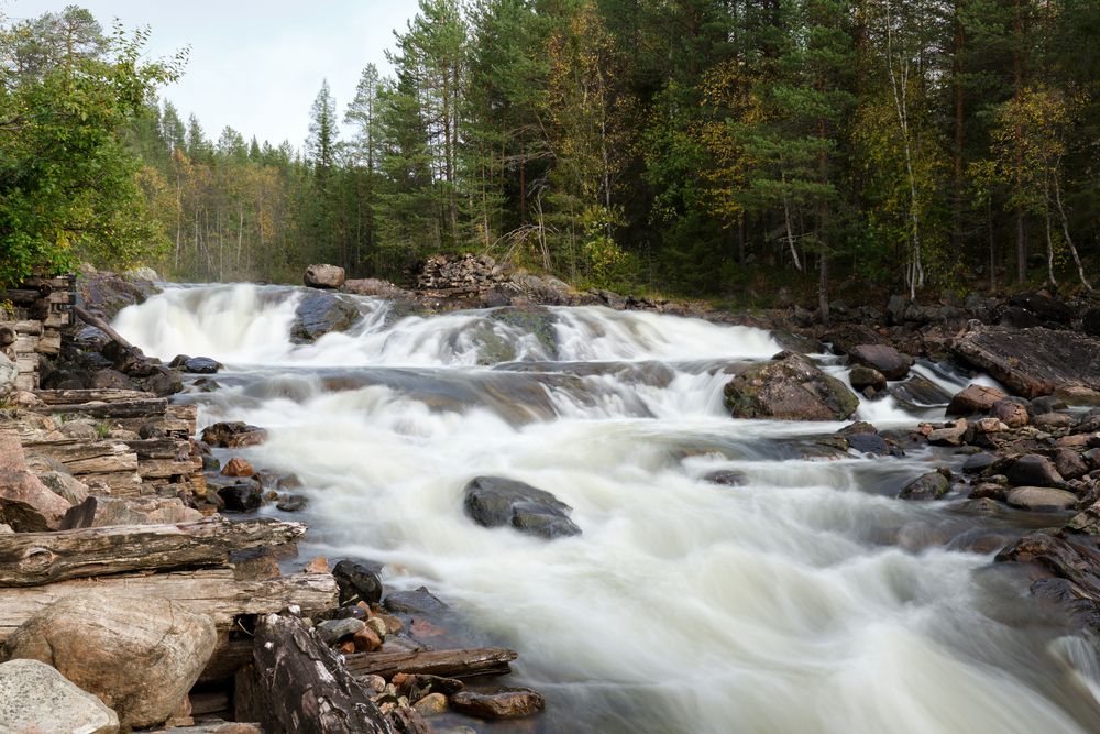 Бурная Коловица