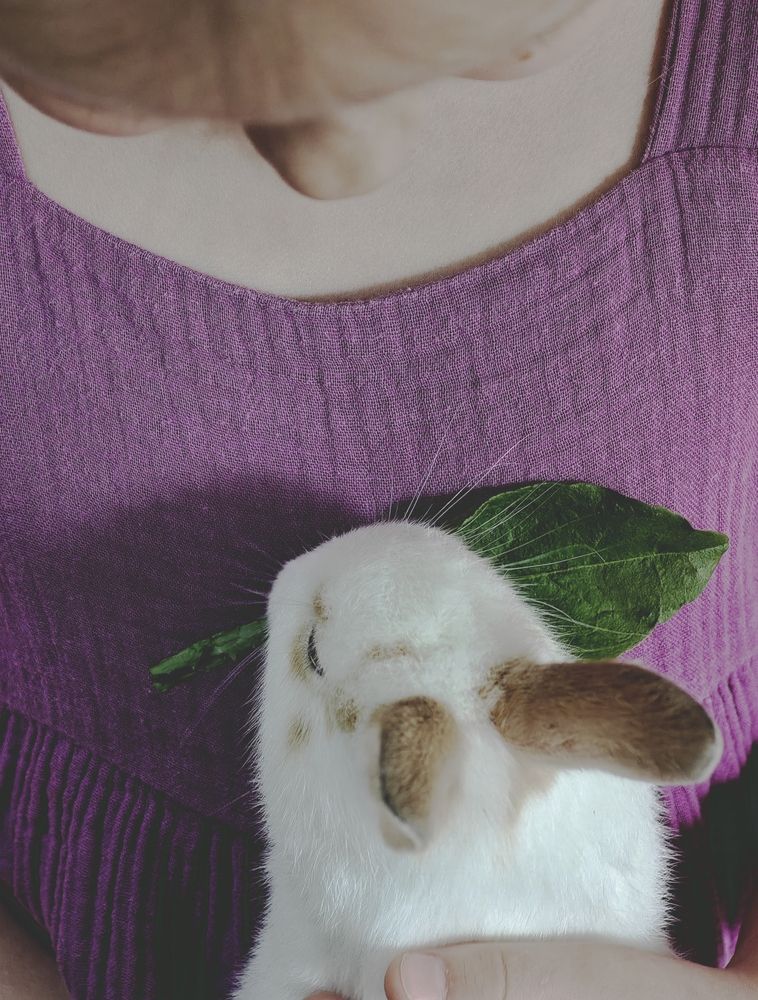 Photograph by Наталья Иванова