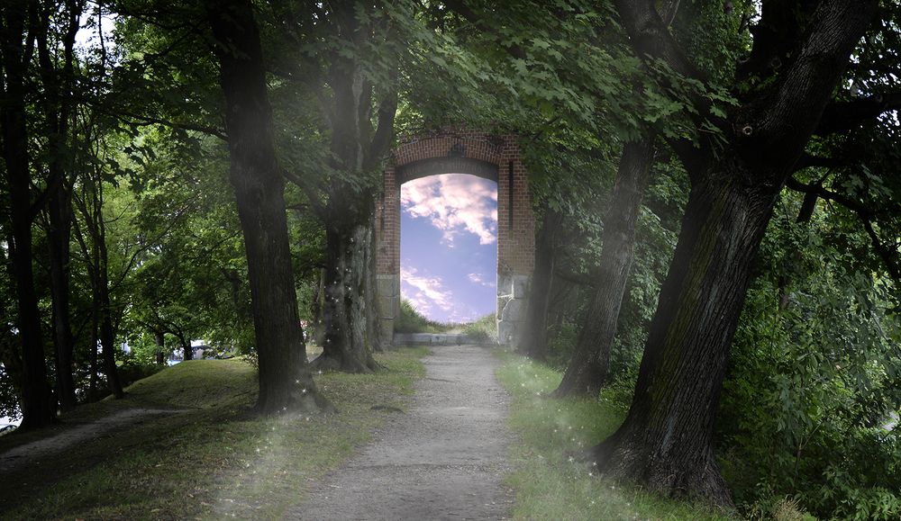 Photograph by Алексей Парамонов