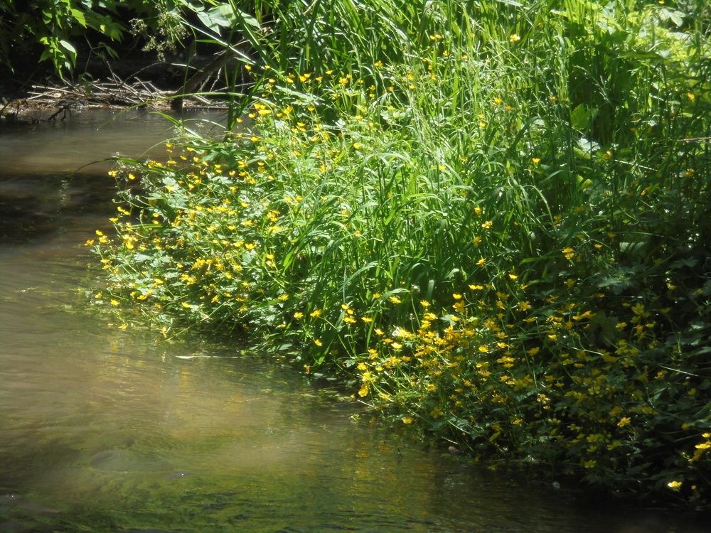 Photograph by Лилия Исхакова