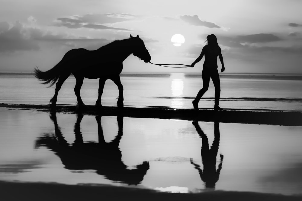 Photograph by Зубкова Юлия