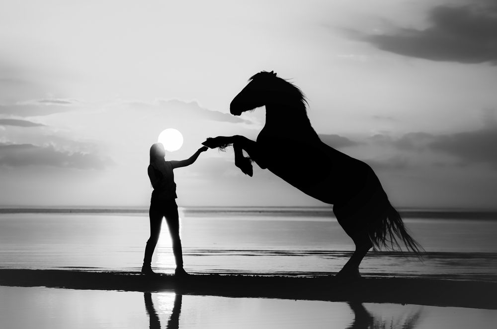 Photograph by Зубкова Юлия
