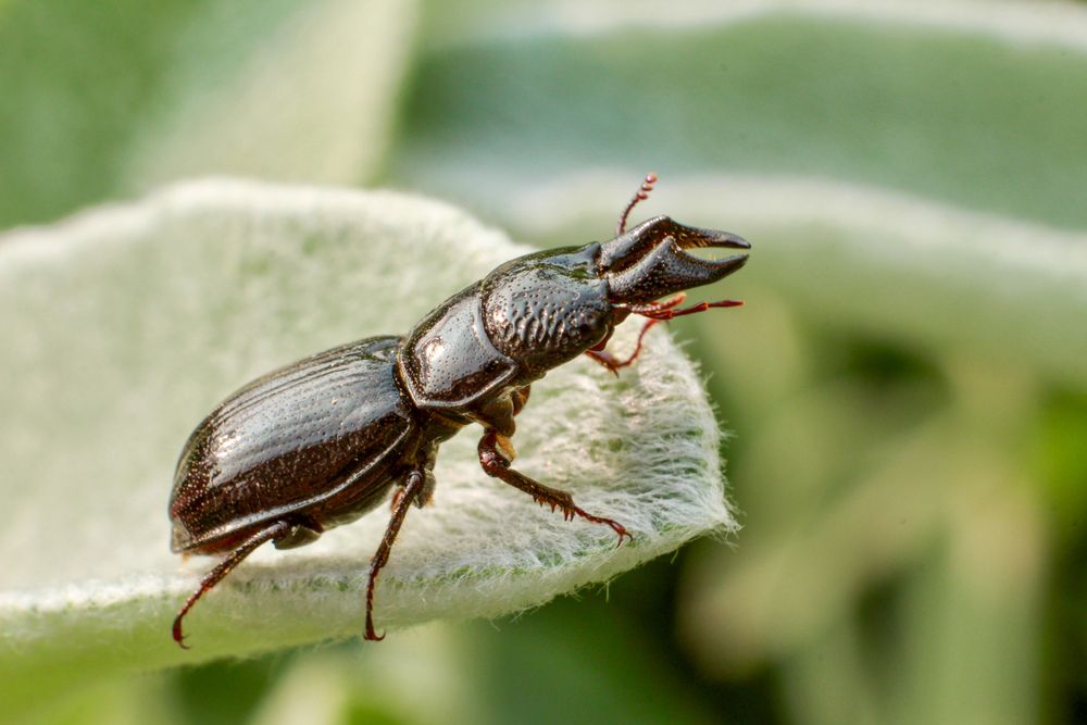 Photograph by Елена Карпухно