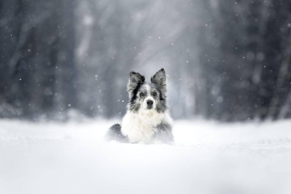 Photograph by Rowan Wils