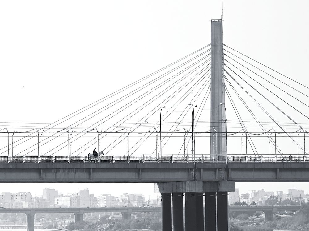 Photograph by mohsen  ali nikpour