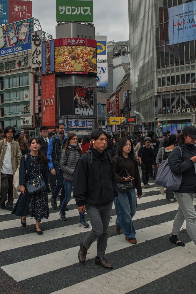 Shinjuku crossing