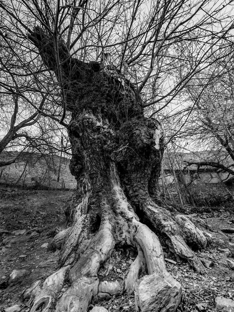 Photograph by Анна Аксенова