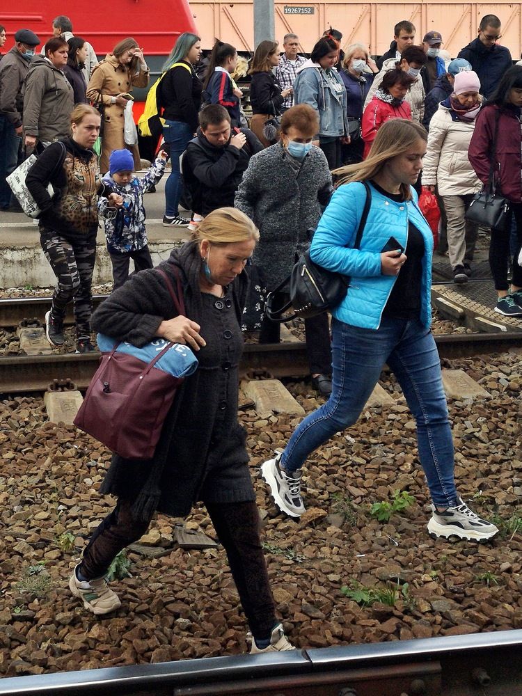 Photograph by Михаил Янкин