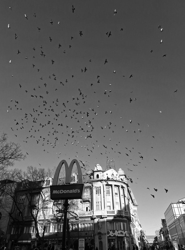 Фотография автора Константин Тимофеев