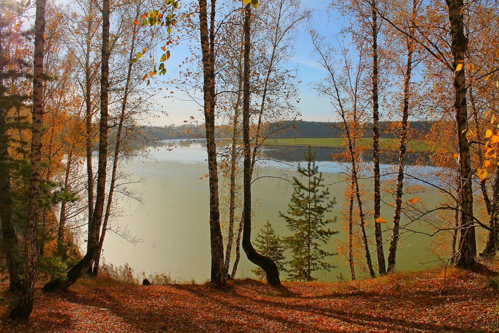 Осень