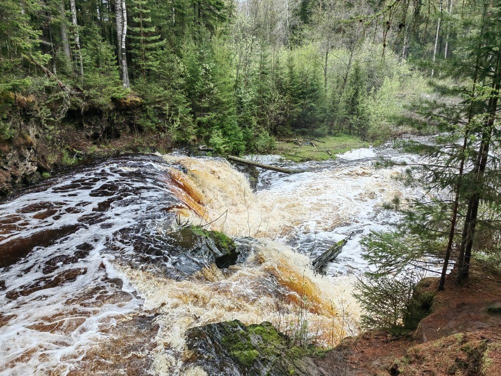 Photograph by Чкареули Светлана