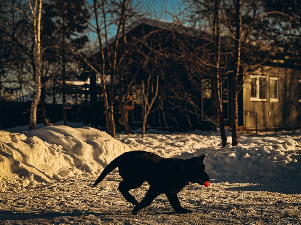 Photograph by Алёна Горошко