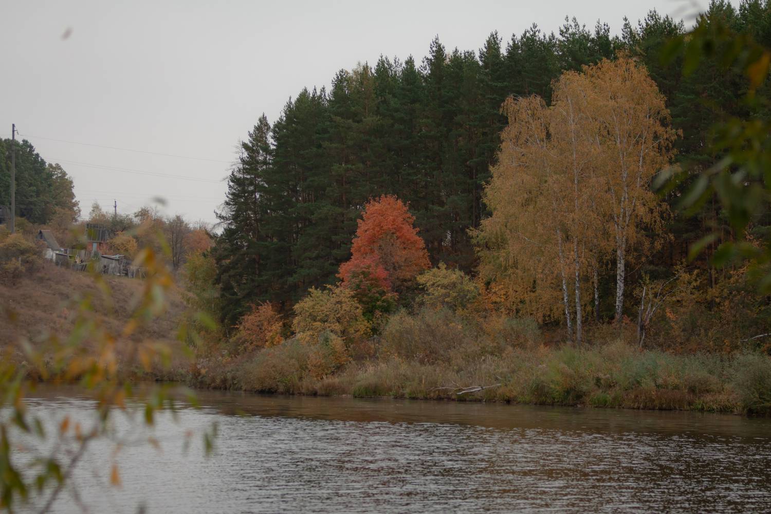 Photo #13301532