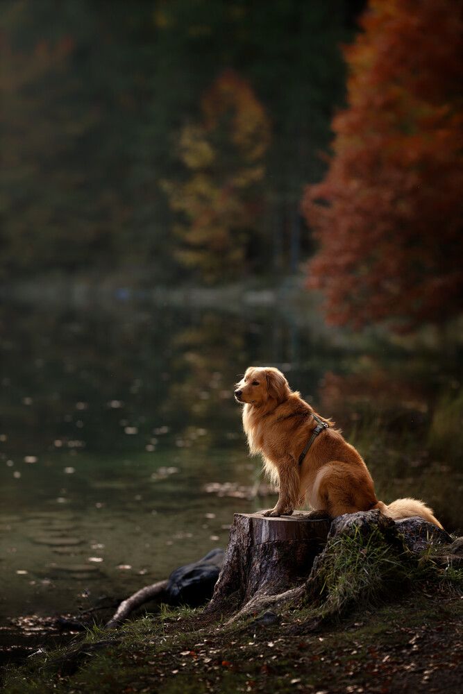 Photograph by Maja Esch