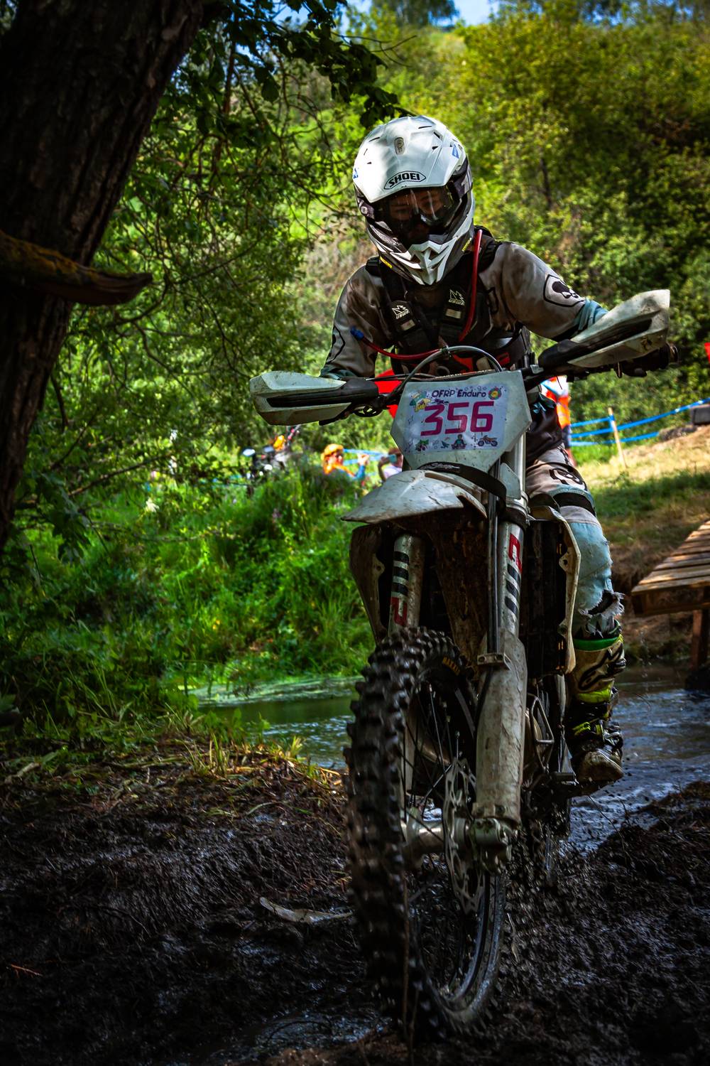 Photo #13301565