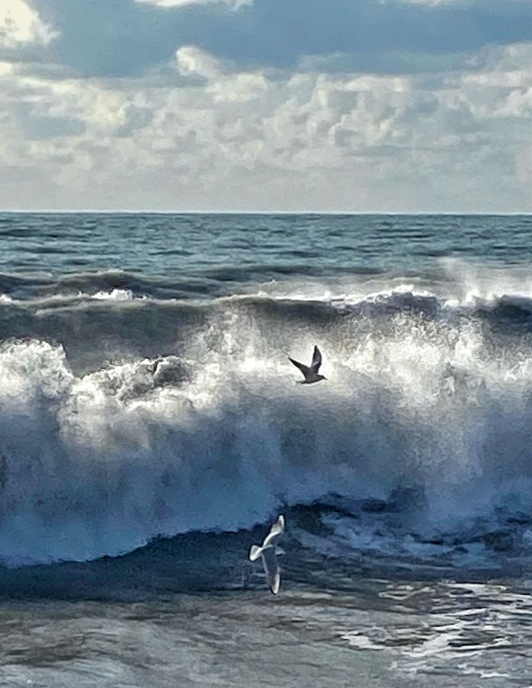 Фотография автора Галина Шиманцова