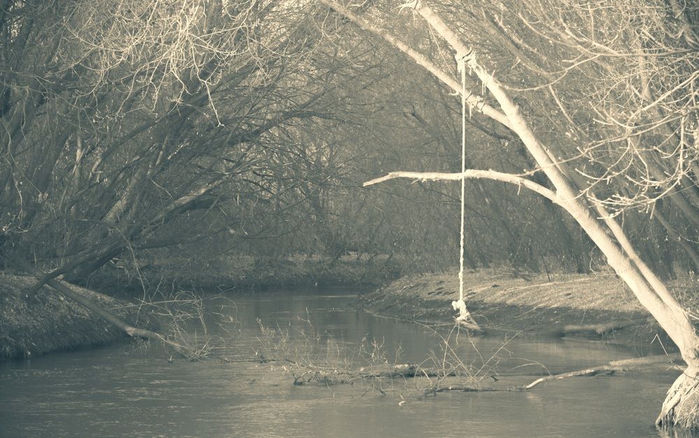 Photograph by Альберт Габбасов