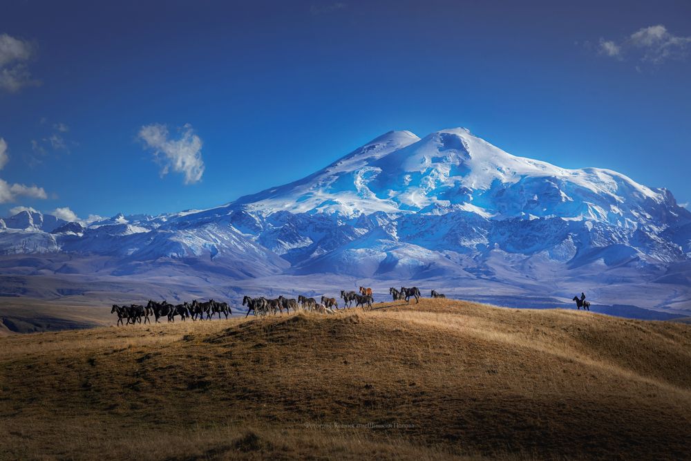 Photograph by Ксения Попова