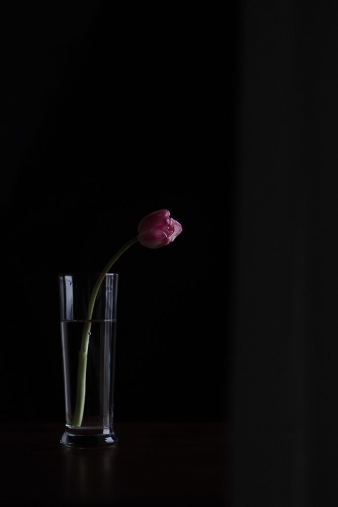 Photograph by Irina Zoteeva