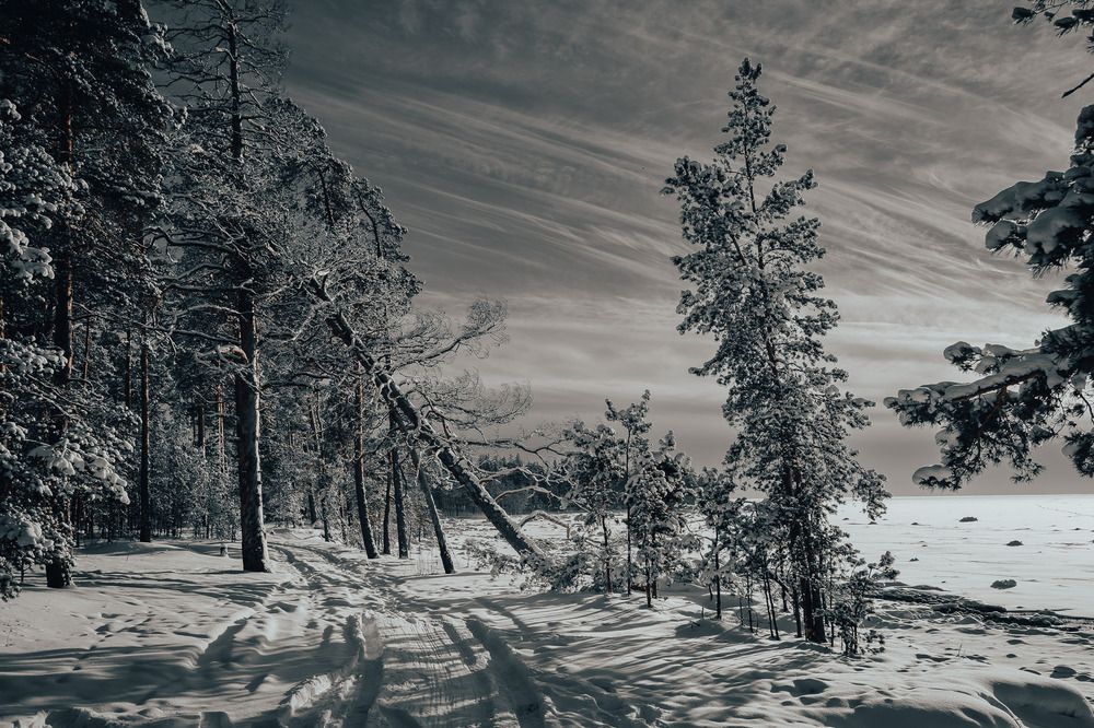 Фотография автора Рустам Загидуллин