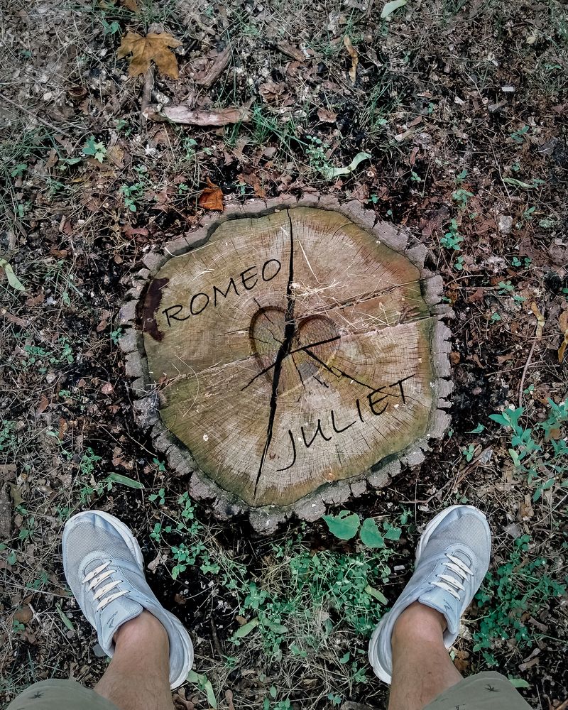 Photograph by Максим Мельник