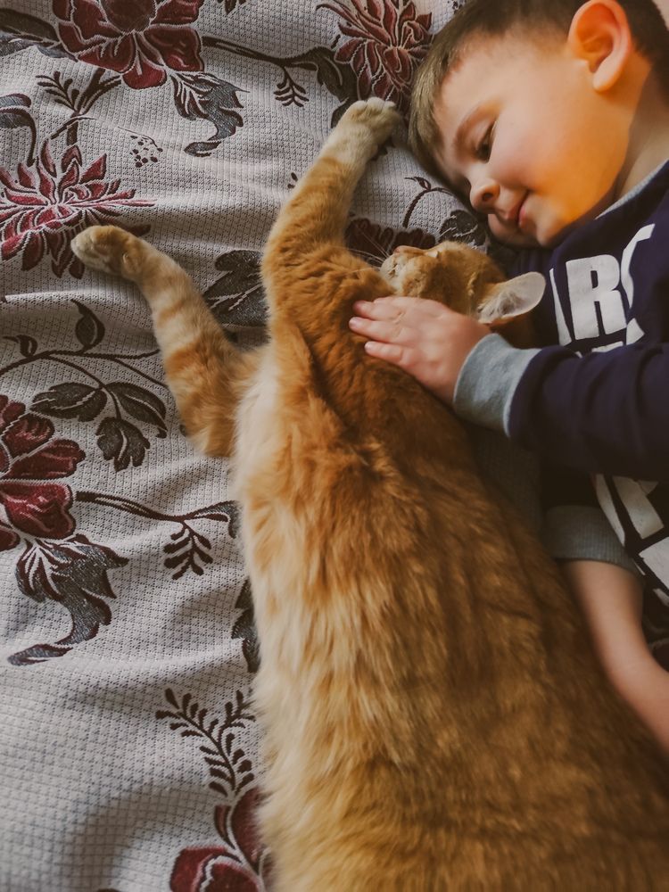 Photograph by Iryna Shyshkina