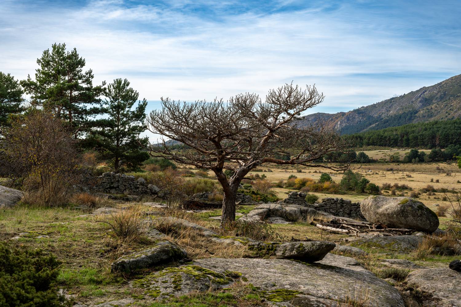 И один в поле воин