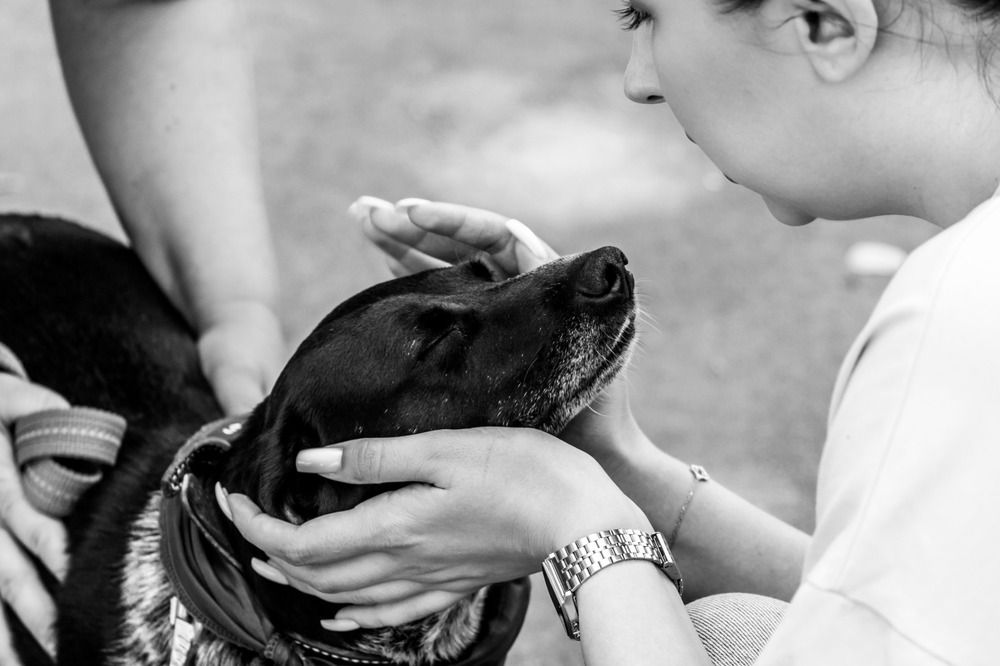 Photograph by Анна Крюкова