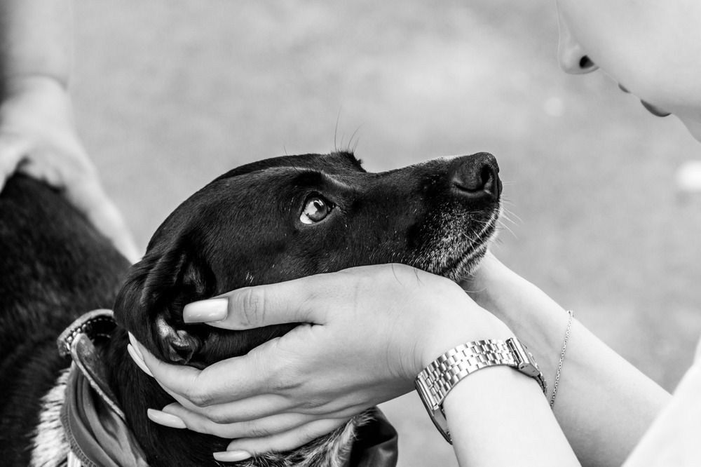 Photograph by Анна Крюкова