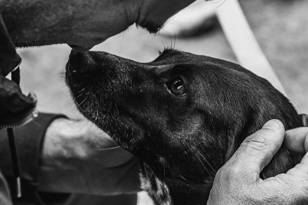 Photograph by Анна Крюкова